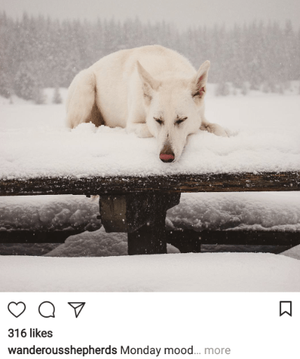 How_To_Promote_Your_Blog_On_Instagram_2_Cropped