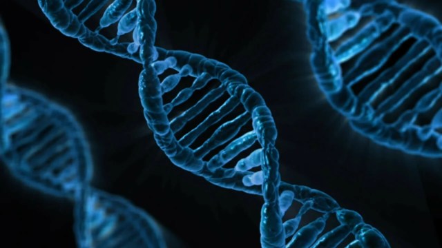 Photo of blue DNA strands on a black background Photo of blue DNA strands on a black background